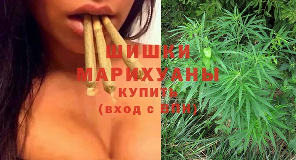 ПСИЛОЦИБИНОВЫЕ ГРИБЫ Гусиноозёрск
