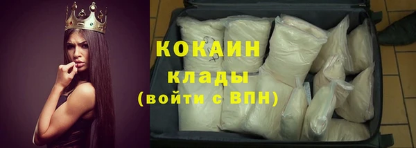 ПСИЛОЦИБИНОВЫЕ ГРИБЫ Гусиноозёрск