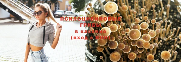 трава Гусев