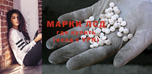 трава Гусев