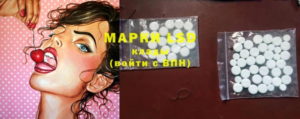 ПСИЛОЦИБИНОВЫЕ ГРИБЫ Гусиноозёрск