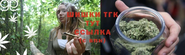 трава Гусев